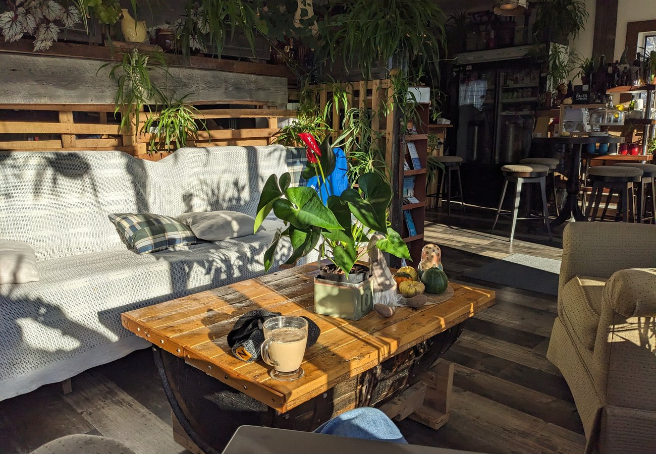 L'intérieur : tables basses, plantes suspendues et grandes fenêtres