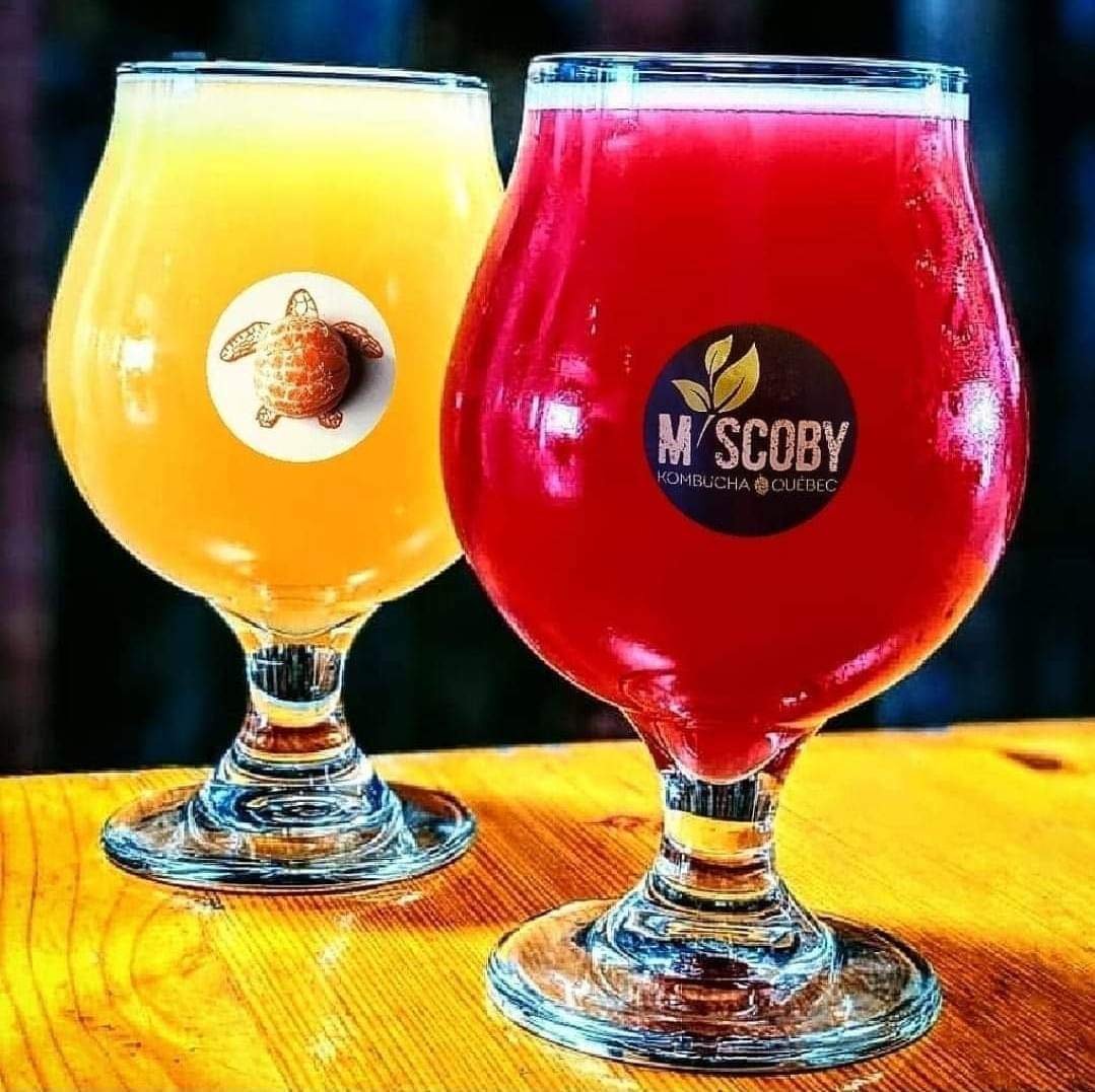 Deux verres tulipe de kombucha, l'un ambré, l'autre rouge
